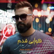 دانلود آهنگ جدید مهدی قیطرانی به نام هوایی شدم